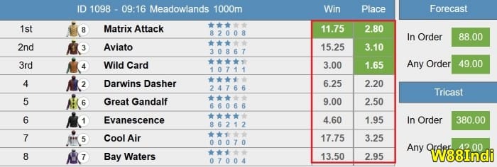 การ พนัน ของ ผู้ เชี่ยวชาญ